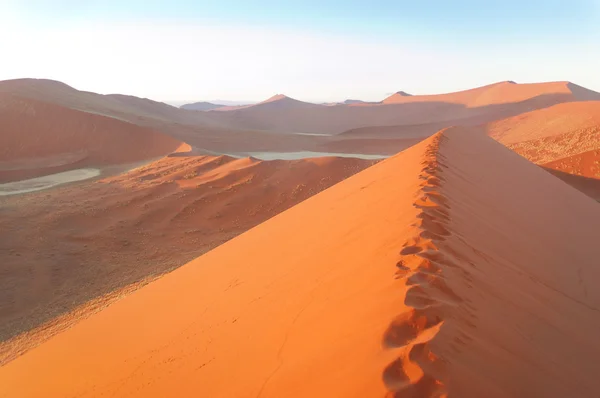 纳米布沙漠的沙丘在美丽的日出 — 图库照片