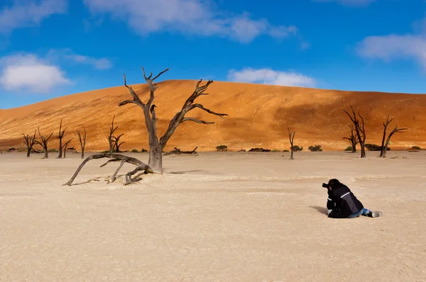 Фотограф фотографирует пейзаж Мертвых Влей — стоковое фото