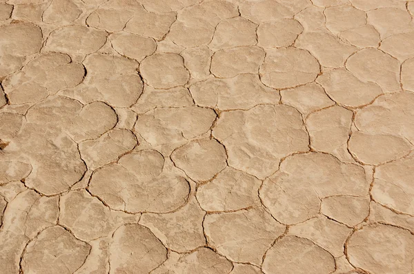 stock image Desert background