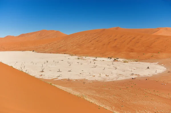 Προβολή των νεκρών vlei, έρημο namib — Φωτογραφία Αρχείου