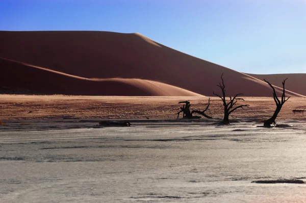 死んだ vlei、ソーサス フライ、ナミブ砂漠の景観 — ストック写真