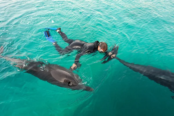 Mujer nadando con los delfines —  Fotos de Stock