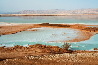 View of Dead Sea Israel coastline clipart