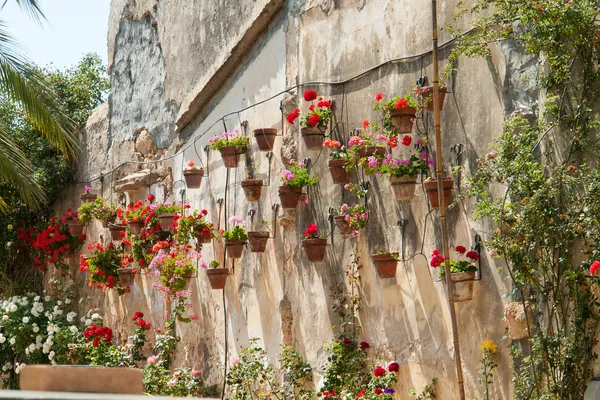典型墙花盆花盆托斯卡纳意大利风格 — 图库照片