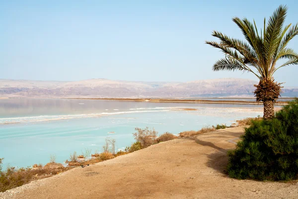 Kilátás nyílik a Holt-tenger Izrael tengerpart — Stock Fotó