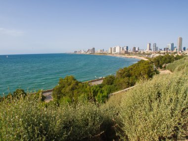 tel aviv İsrail'in panoramik görünüm