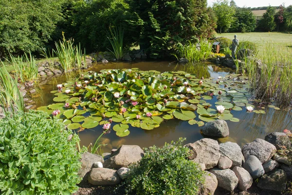 Красивый классический садовый пруд для рыб — стоковое фото