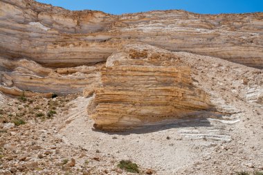 Negev desert in the south Israel