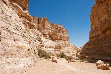 Negev desert in the south Israel clipart