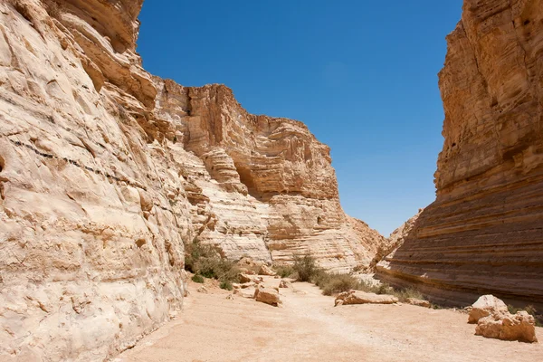 stock image Negev desert in the south Israel