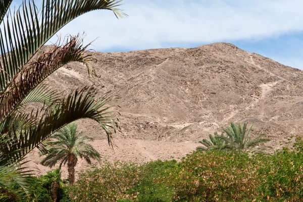 Desert mountains in Jordan Middle East — Stock Photo, Image
