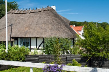 geleneksel klasik Danimarka ülke thached evi