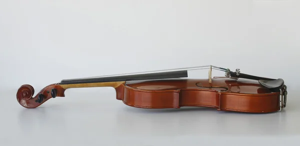 Violin Stock Picture