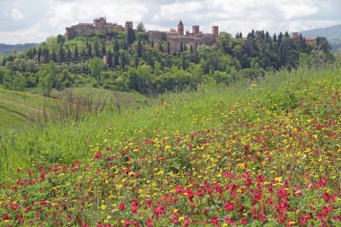 Tuscan landscape in spring clipart