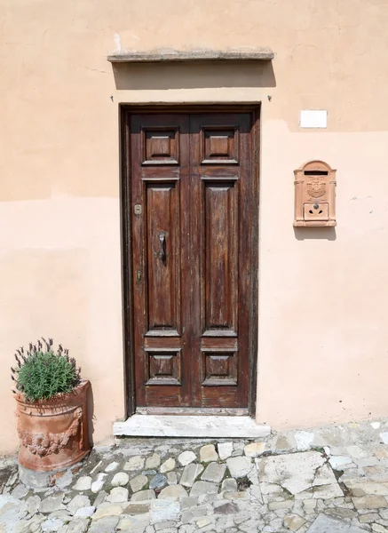 Haustür mit eleganten Details — Stockfoto