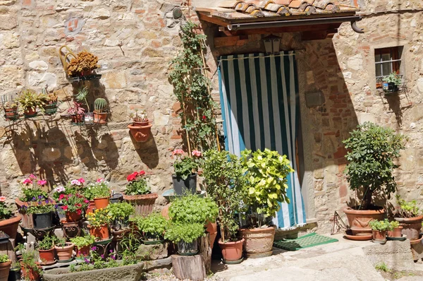 Viele Blumentöpfe vor dem toskanischen Haus — Stockfoto