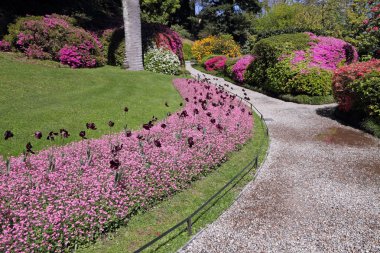 Alley in historic garden of Villa Carlotta clipart