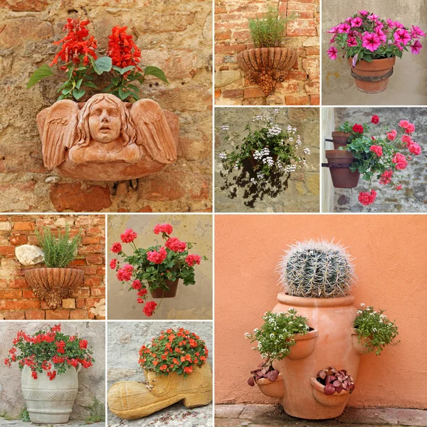 Collage mit Blumentöpfen — Stockfoto