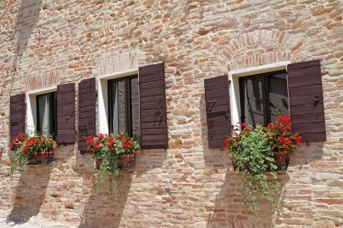 Brick wall with windows with shutters and flowers in pots clipart