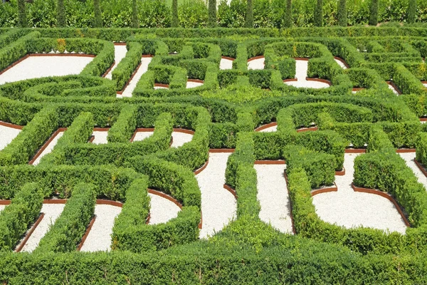 O labirinto de Borges — Fotografia de Stock