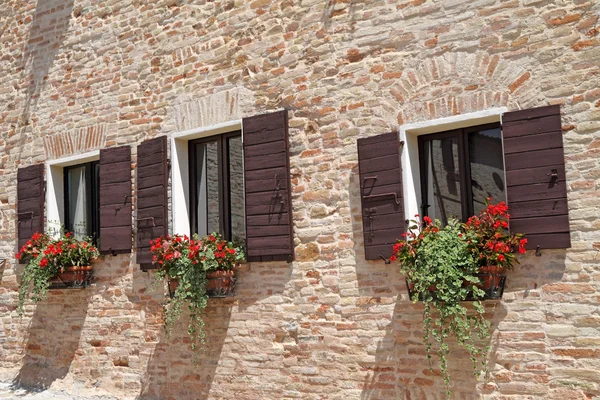 Brick wall with windows with shutters and flowers in pots — Stock Photo, Image