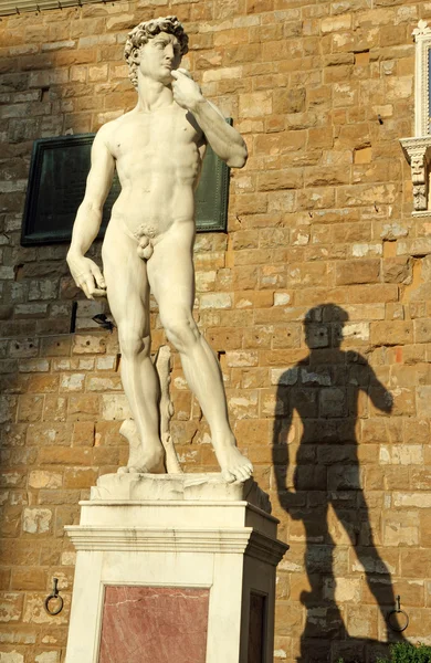 Michelangelo's david sculptuur in zonsondergang licht. — Stockfoto