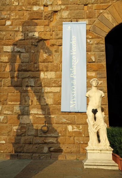 Silhouette della statua di David — Foto Stock