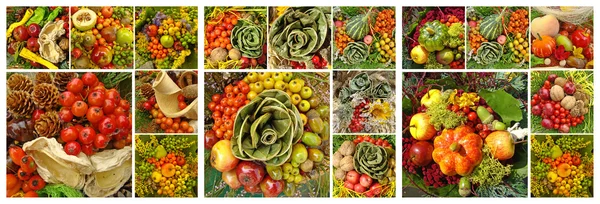 Fall fruit collage — Stock Photo, Image