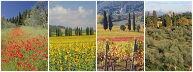 Four seasons in Tuscany clipart