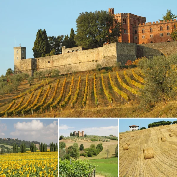 Composition with spectacular tuscan landscapes — Stock Photo, Image