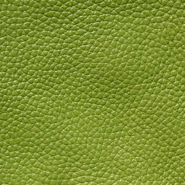 Texture cuir vert — Photo