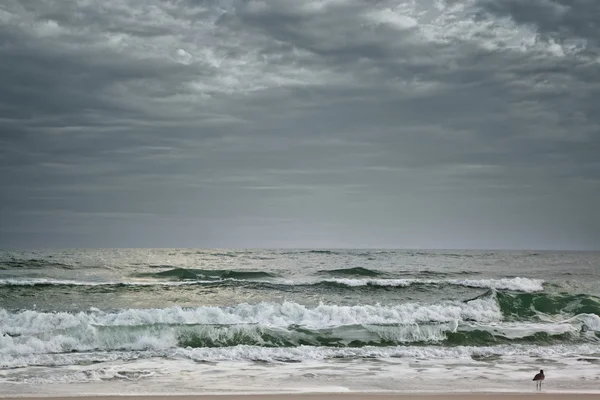 Fırtınalı dramatik plaj ve sörf — Stok fotoğraf