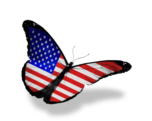 Bandeira americana borboleta voando, isolado no fundo branco — Fotografia de Stock