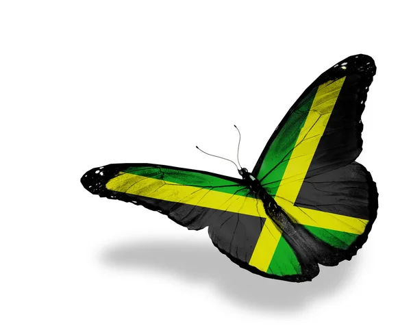 Jamaikanische Flagge Schmetterling fliegen, isoliert auf weißem Hintergrund — Stockfoto