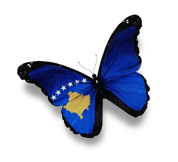 Bandiera del Kosovo farfalla, isolata su bianco — Foto Stock