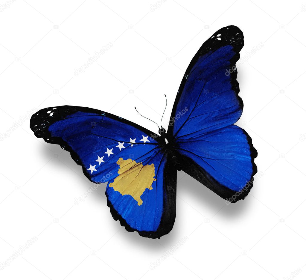 Flag of Kosovo butterfly, isolated on white Stock Photo by ©sun_tiger  10736960