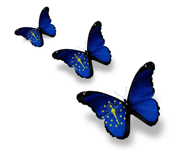 Drei indianafarbene Schmetterlinge, isoliert auf weiß — Stockfoto
