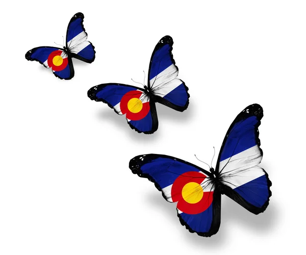 Три флага Колорадо бабочки, изолированные на белом — стоковое фото