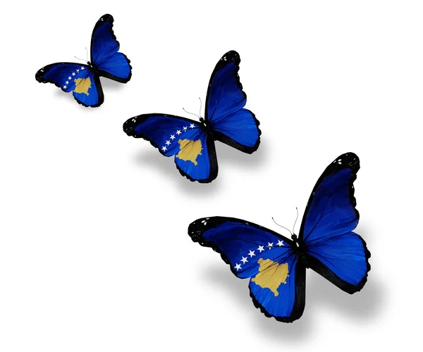 Drie kosovo vlag vlinders, geïsoleerd op wit — Stockfoto