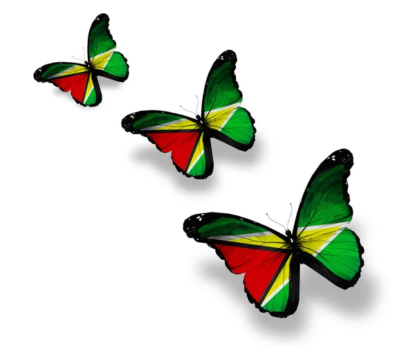 Trois papillons drapeau guyanais, isolés sur blanc — Photo