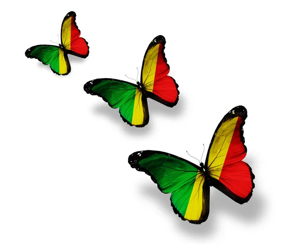 Üç Cumhuriyeti Kongo Cumhuriyeti bayrağı kelebeklerin üzerinde beyaz izole — Stok fotoğraf