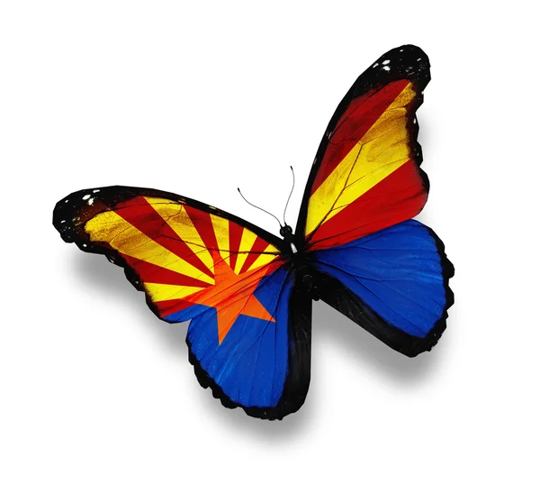 Flagge des arizona-Schmetterlings, isoliert auf weiß — Stockfoto
