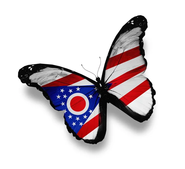 Ohio vlajky motýl, izolované na bílém — Stock fotografie