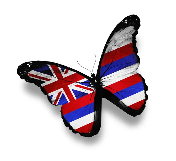 ハワイの旗の蝶、白で隔離されます。 — ストック写真