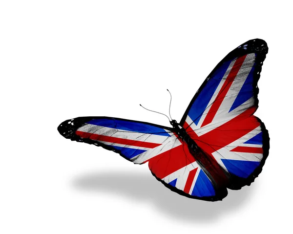Angol zászló pillangó repül, elszigetelt fehér background — Stock Fotó