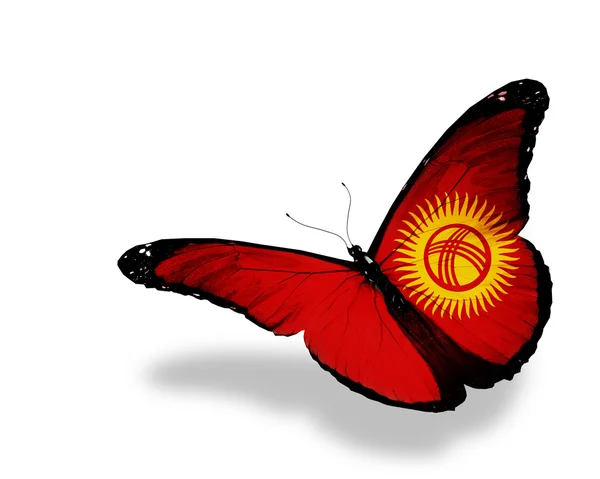 Kirghizistan bandiera farfalla sventola, isolato su sfondo bianco — Foto Stock