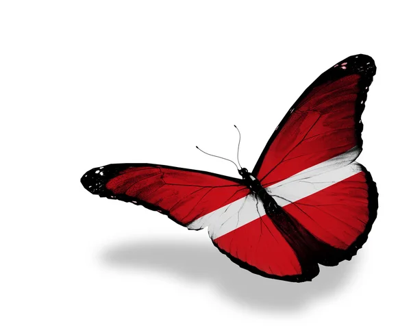 Bandeira da Letónia borboleta voando, isolado em fundo branco — Fotografia de Stock