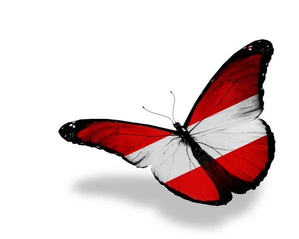 Papillon drapeau autrichien volant, isolé sur fond blanc — Photo