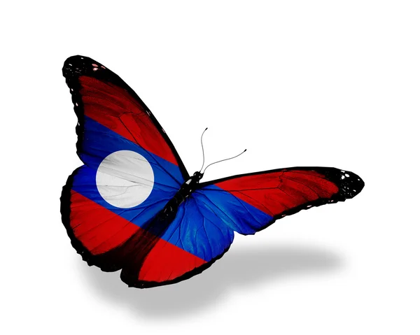 Laoská vlajka motýl létání, izolované na bílém pozadí — Stock fotografie