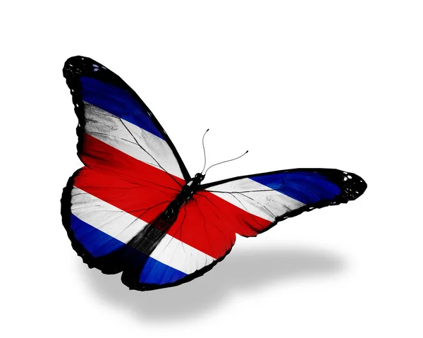 Bandiera Costa Rica farfalla in volo, isolata su sfondo bianco — Foto Stock